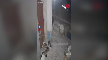 Bursa'da davetsiz misafir! Ayakkabıyı kaptığı gibi kaçtı...