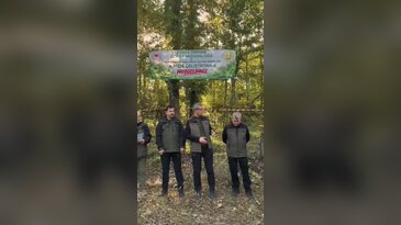 Asırlık meşelerin geleceği Bursa'da şekilleniyor