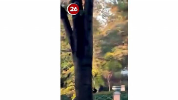 Görüntü Türkiye'den! Şehrin simge noktasını 'sevişme' alanına çevirdiler
