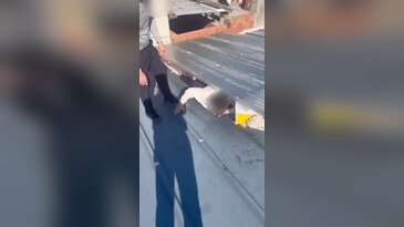 Bursa'da aranan hükümlü çatı arasında yakalandı