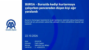 Bursa'da kedi kurtarma girişimi kötü bitti! Hayati tehlikesi var