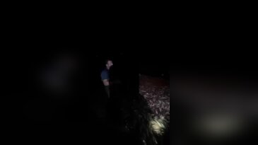 Bursa'da balık bereketi! Ağlar dolup taşıyor...