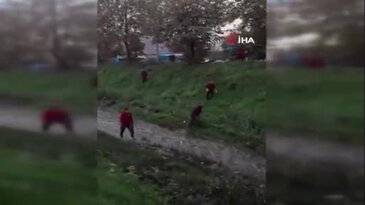 Bursa'da kayıp alarmı! Dere yatağına kadar arandı, henüz iz yok