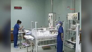 Çin'de domuz gribi hortladı