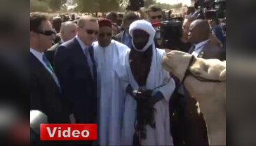 Erdoğan'a deve hediye ettiler