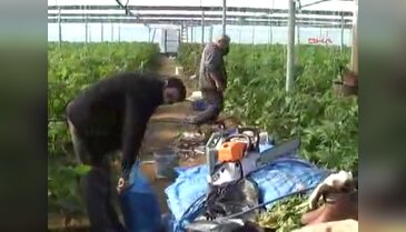 Çiftçileri uyku tutmadı