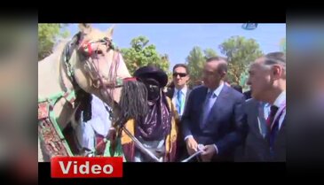 Başbakan'a Nijer'de hediye at