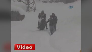 At sırtında diyalize