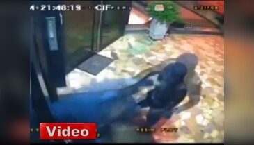 Barbaros Şansal'a dayak kamerada