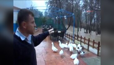 Marmaris'te yağış etkili oldu