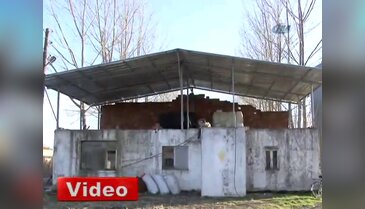 5 bin tavuk telef oldu