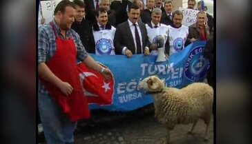 Bakan gitti, halay çekip kurban kestiler