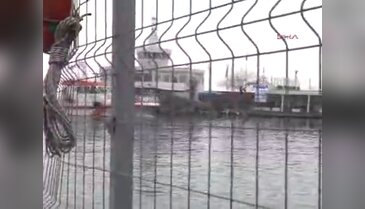 BDP'liler İmralı'ya gitti