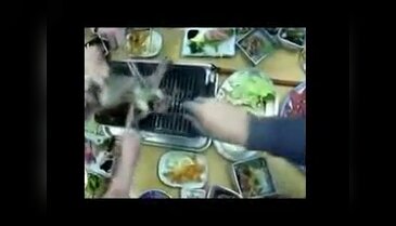Japonların canlı ahtapot ızgarası