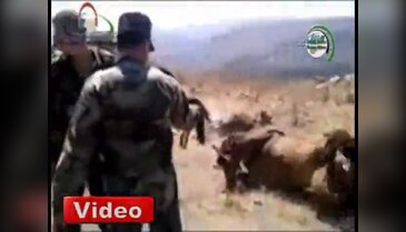 Bu sefer hayvanlar Esad'ın kurbanı oldu