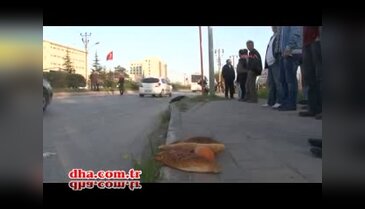Evine ekmek götürüyordu
