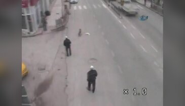 Köpek polisi görünce...