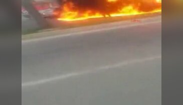 Çin'de can pazarı!