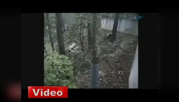 Pandanın deprem paniği