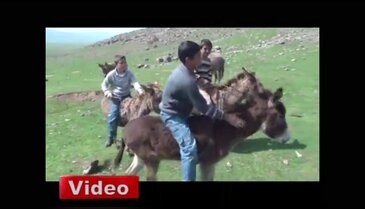 Terör yüzünde yıllarca yaylalara çıkamamışlardı