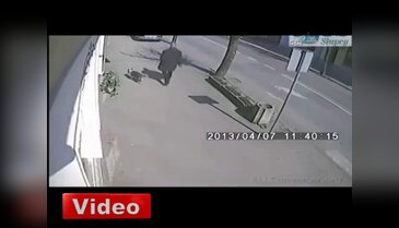 Pitbull 'kedi'yi böyle parçaladı!