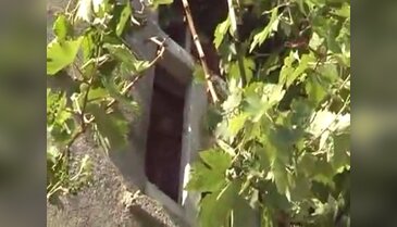 İtfaiyeden kedi kurtarma operasyonu
