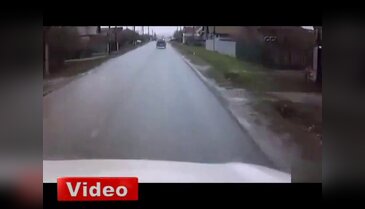 İneği uçurdu!
