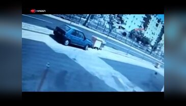 D-100'de köpek dehşeti