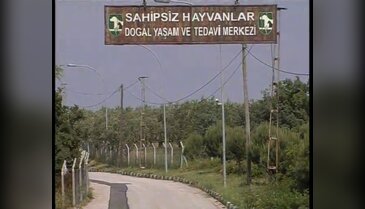 Bursa'da Evcil Hayvan Mezarlığı sevindiriyor