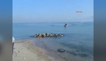Mudanya'da denizde kayboldular!