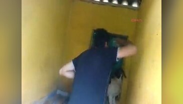 Emanet köpeklere dayaklı eğitim