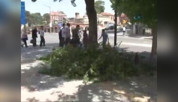Fırtına ağaçları devirdi: 2 yaralı
