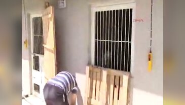 Bursa'nın yeni gözbebeği "Remzi"