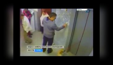 Köpek ölümden böyle kurtarıldı !