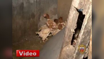 Yer altı kasabasına baskın!