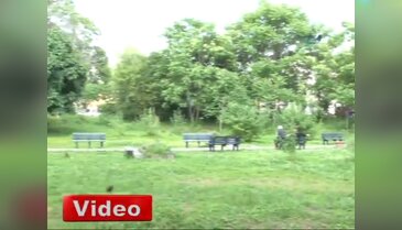 Milano'da "Küçük Gezi Parkı" kuruldu