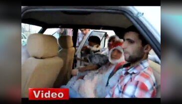 Sokak köpekleri dehşet saçtı: 21 yaralı!