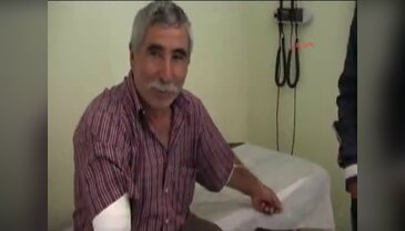 Erzurum'da kurt dehşeti