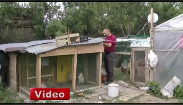 Akıllı ev olmayan şehirde akıllı kümes yaptı