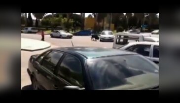 Kızgın boğa ortalığı birbirine kattı