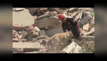 10 katlı bina çöktü