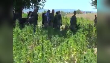 Diyarbakır'da büyük operasyon