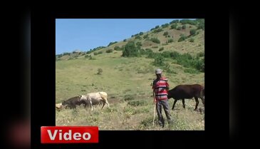 Çobanlar da teknolojiye uydu