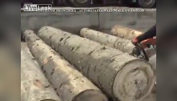 Böylesi şeytanın aklına gelmez
