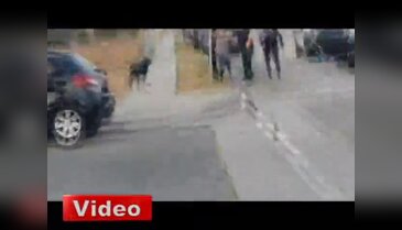 Polis sahibini koruyan köpeği öldürdü