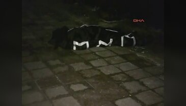 Ölüme sır atlayış