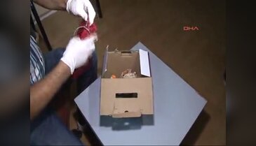 Kadın pedi içinde eroin
