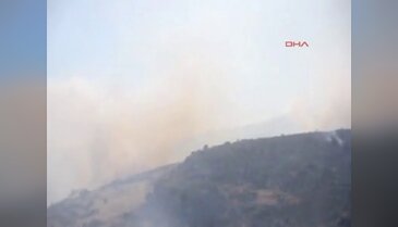Orman yangınına havadan ve karadan müdahale