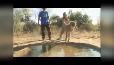 ABD'li aktör çita saldırısına uğradı!