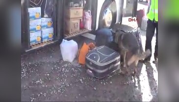 Zehir tacirleri yakayı ele verdi
